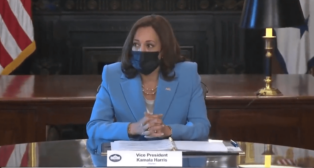 kamala harris announces pronouns and what she is wearing at roundtable discussion